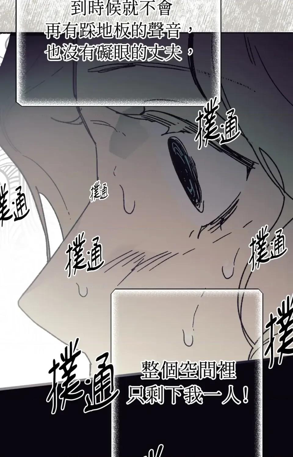 幽影貴婦的哀愁 幽影貴婦的哀愁 第109页