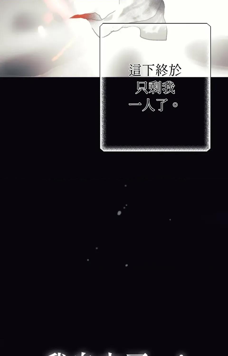 幽影貴婦的哀愁 幽影貴婦的哀愁 第112页