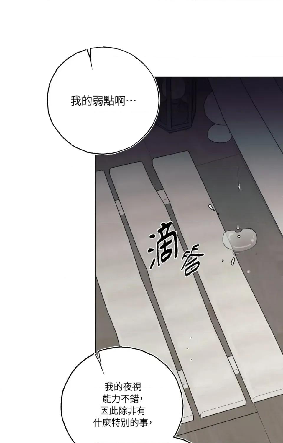 幽影貴婦的哀愁 幽影貴婦的哀愁-第5話 第28页