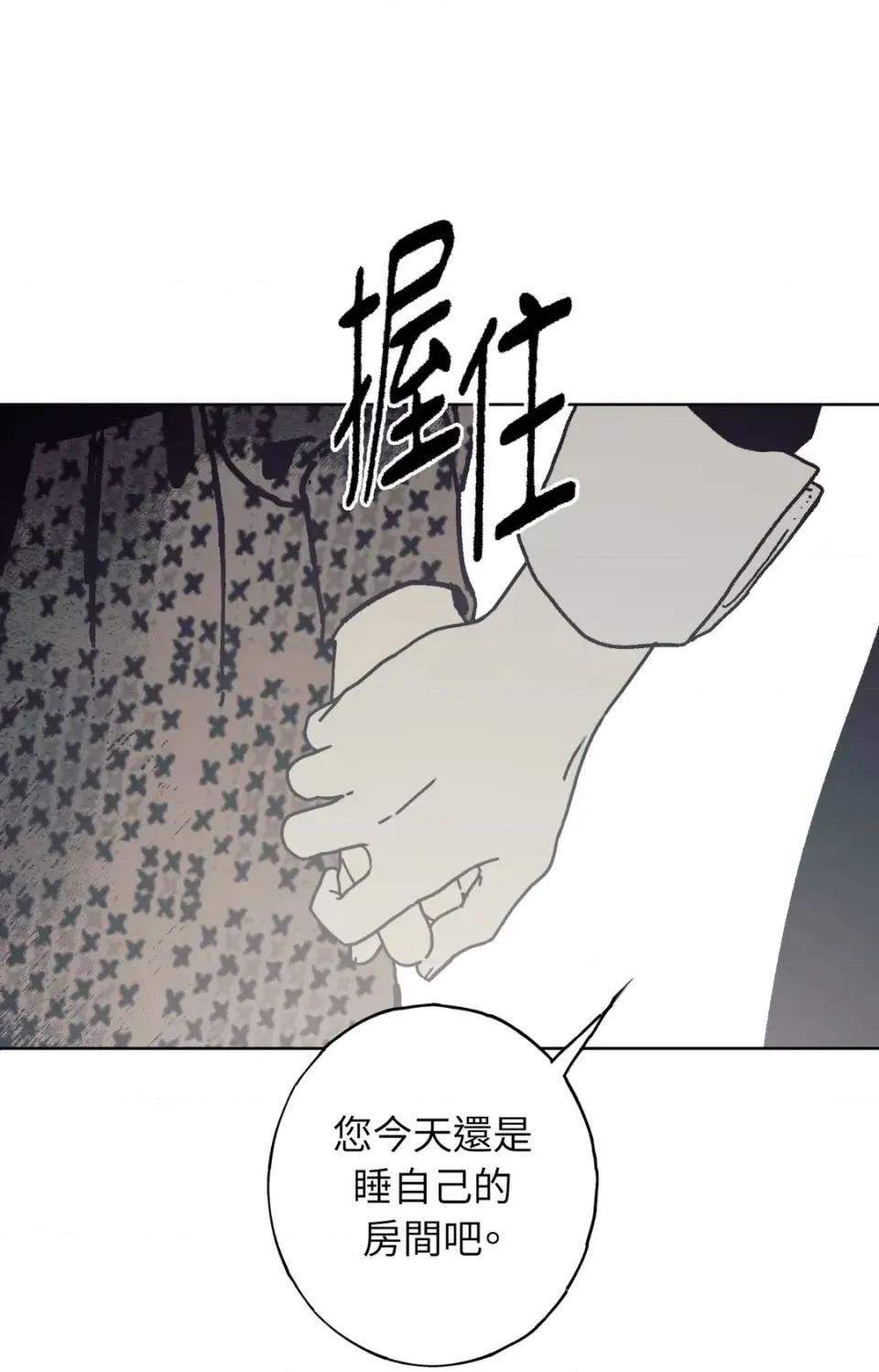 幽影貴婦的哀愁 幽影貴婦的哀愁-第13話 第63页