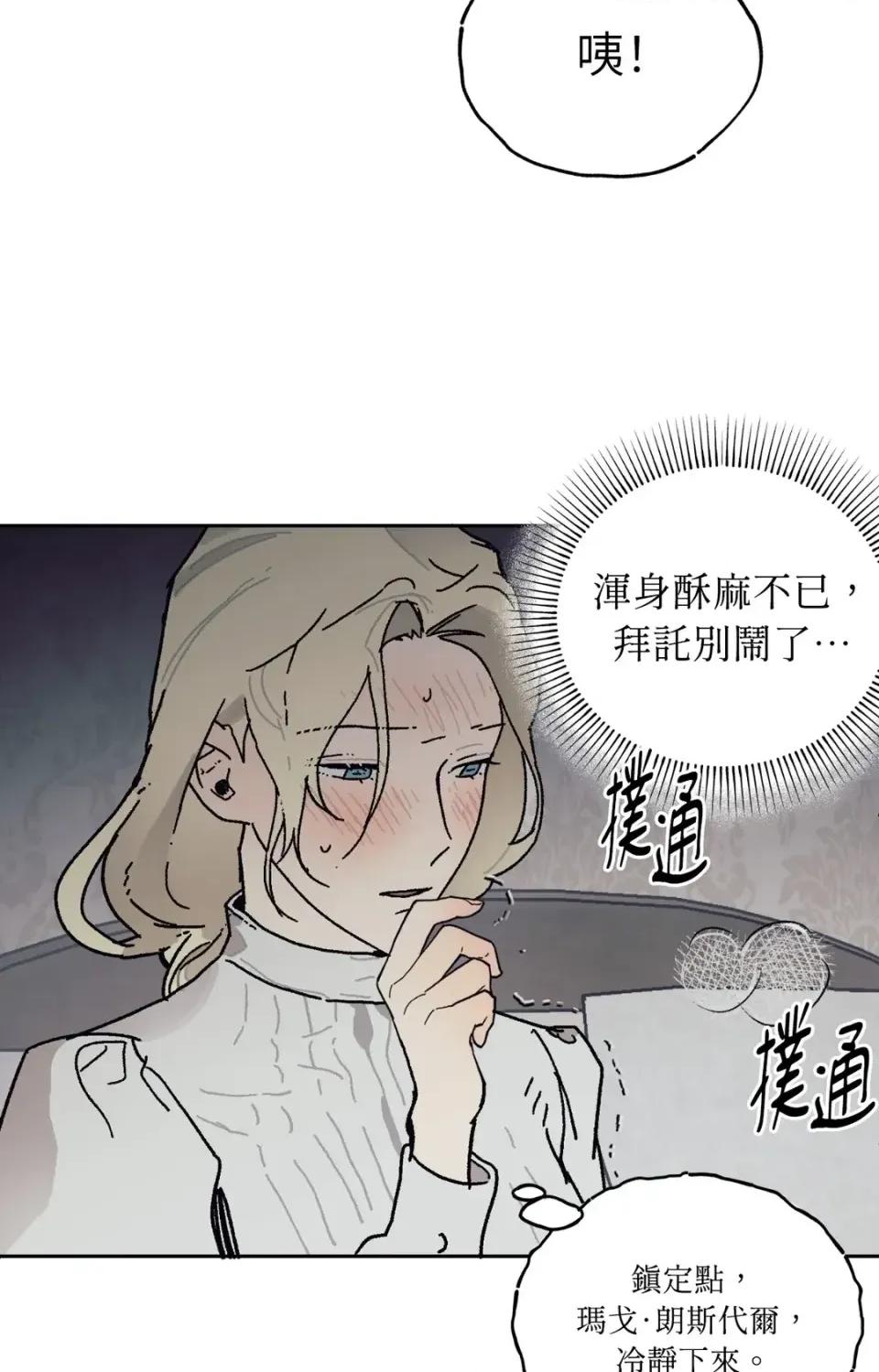 幽影貴婦的哀愁 幽影貴婦的哀愁-第15話 第17页