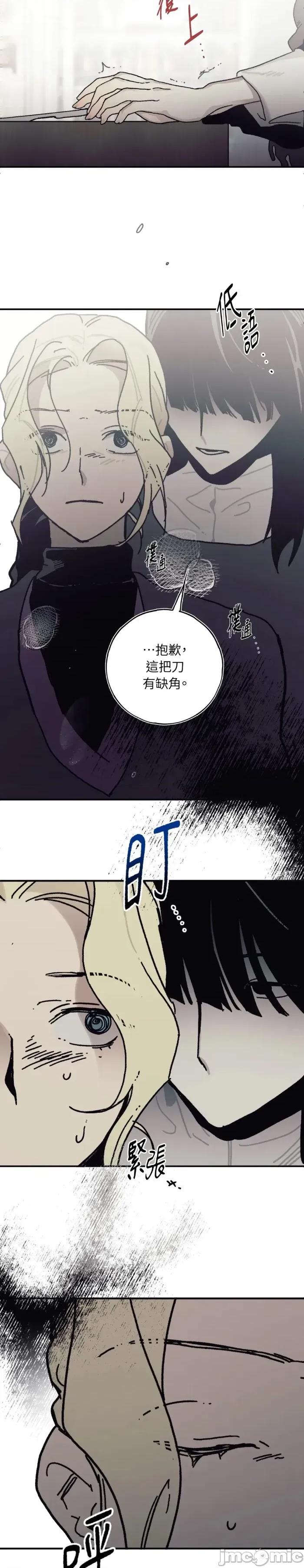 幽影貴婦的哀愁 幽影貴婦的哀愁-第19話 第12页