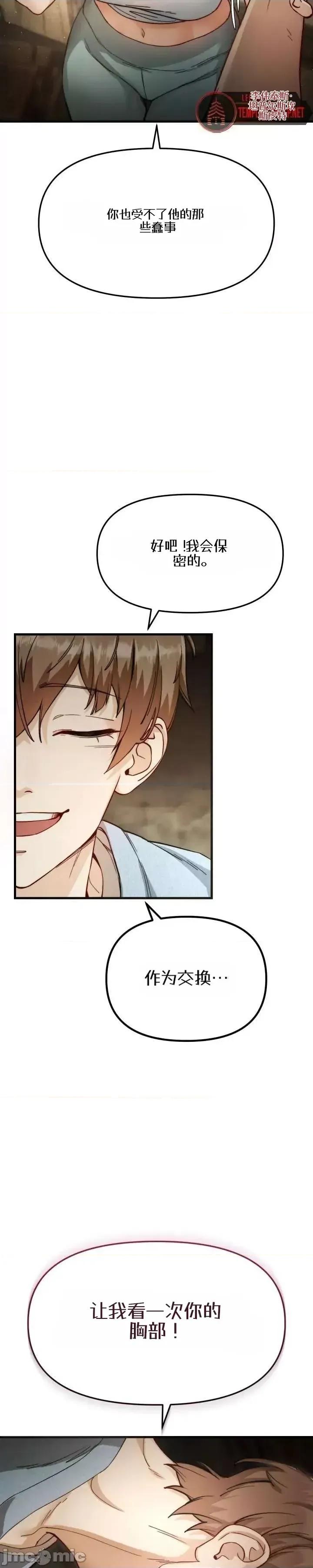 化身 化身 第19页