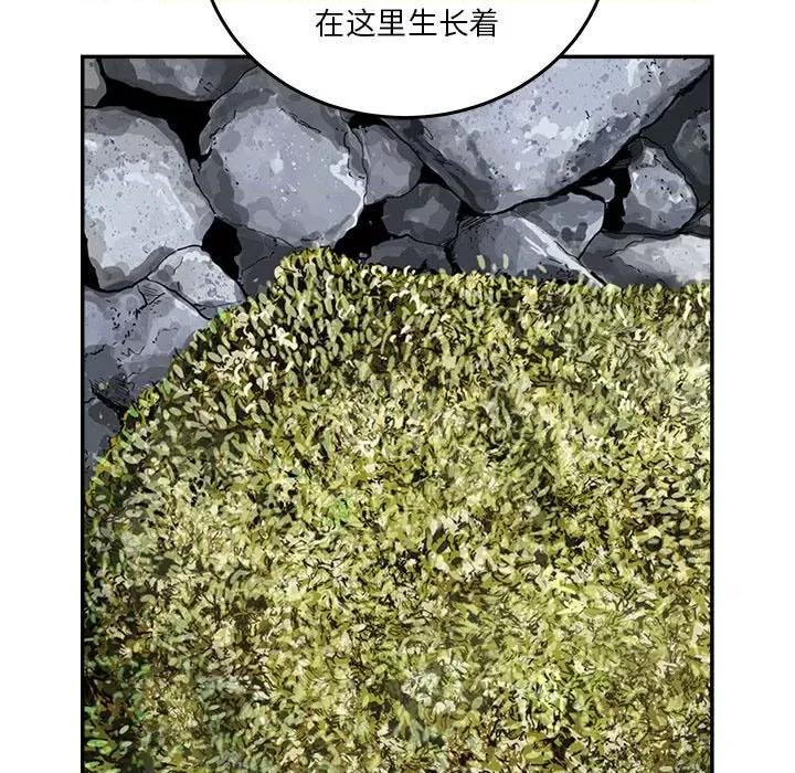 鱼鳞 鱼鳞-第 29 话 第32页