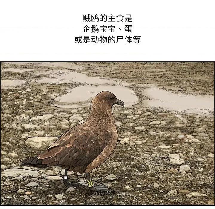 鱼鳞 鱼鳞-第 33 话 第8页