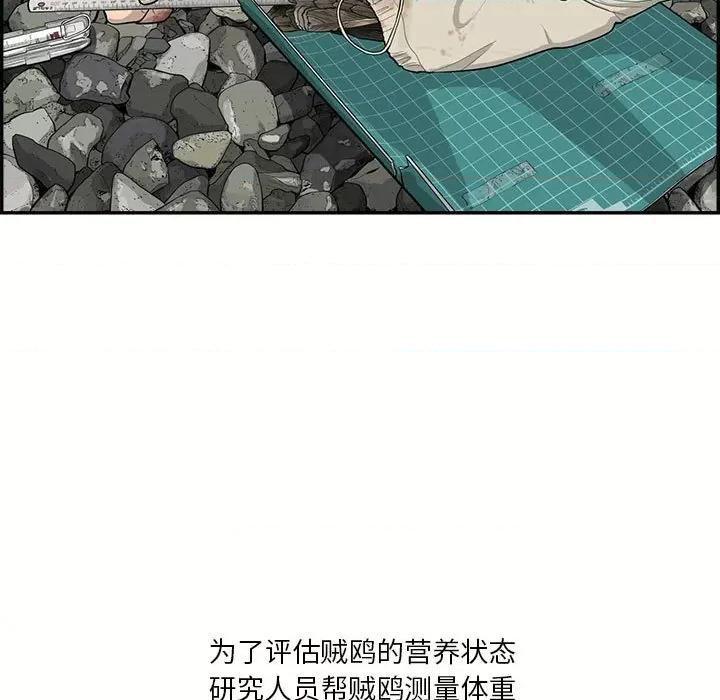 鱼鳞 鱼鳞-第 33 话 第23页