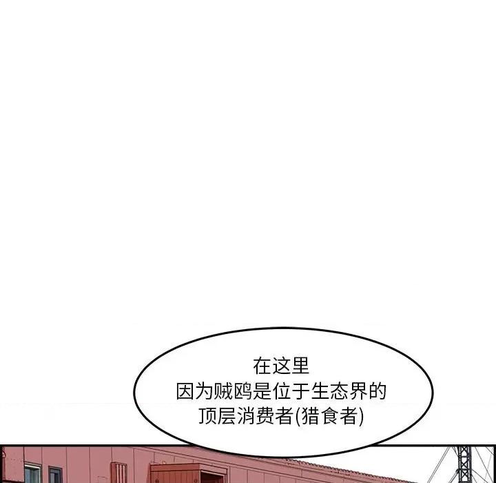 鱼鳞 鱼鳞-第 33 话 第36页