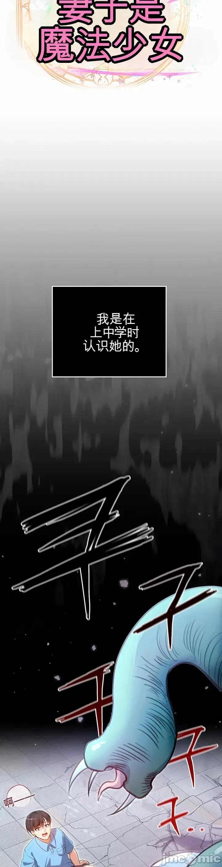 我妻子是魔法少女 我妻子是魔法少女 第16页