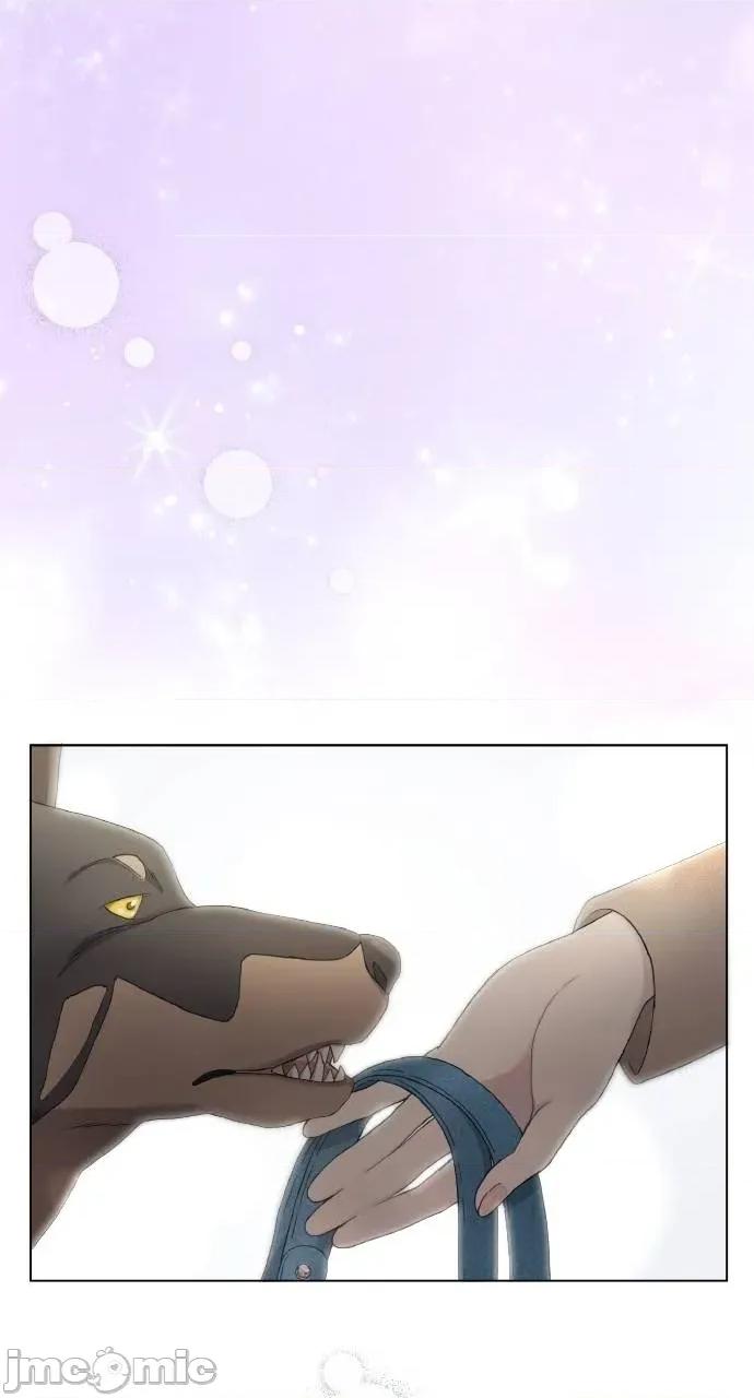 欲望猎场 欲望猎场 Doberman-第4话 第50页