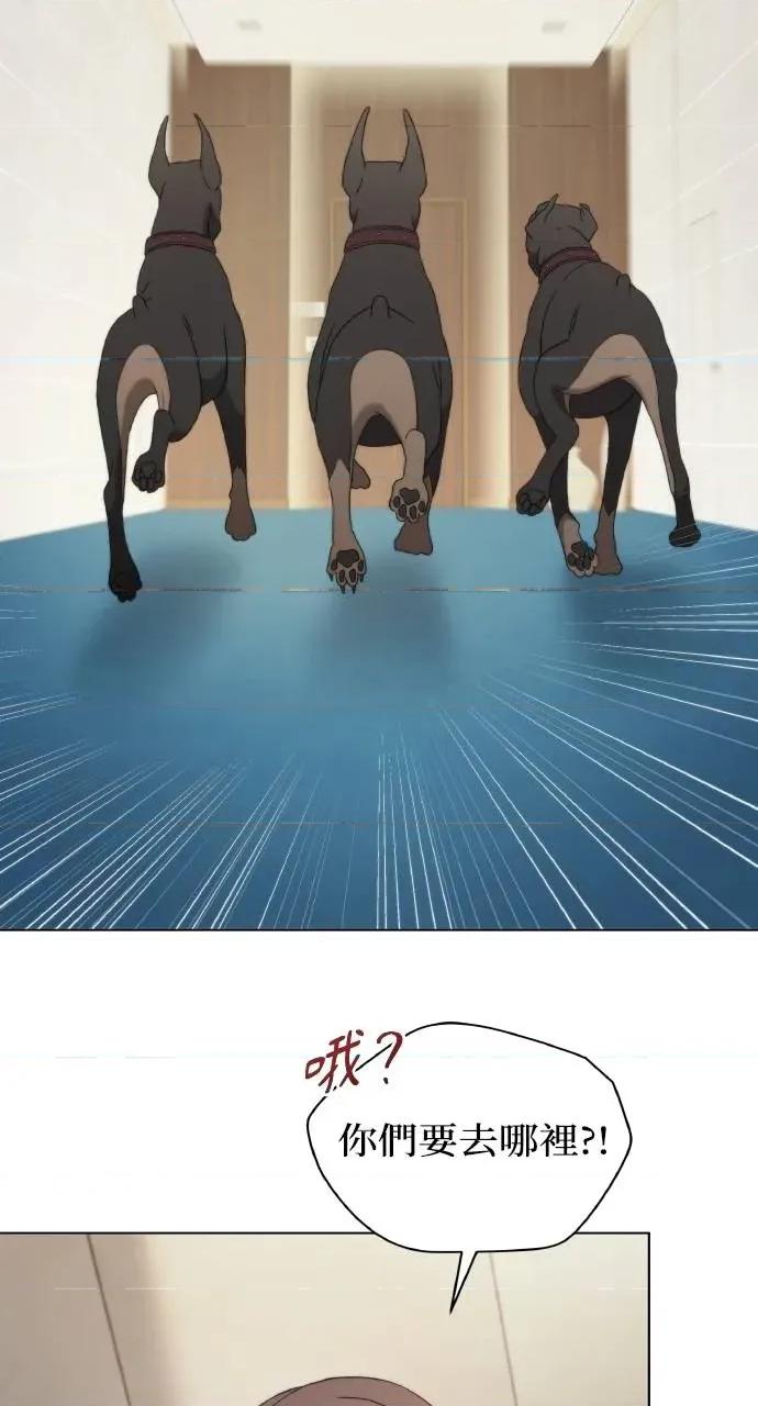 欲望猎场 欲望猎场 Doberman-第17话 第51页
