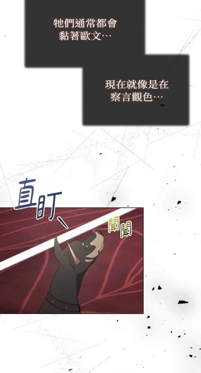 欲望猎场 欲望猎场 Doberman-第17话 第79页