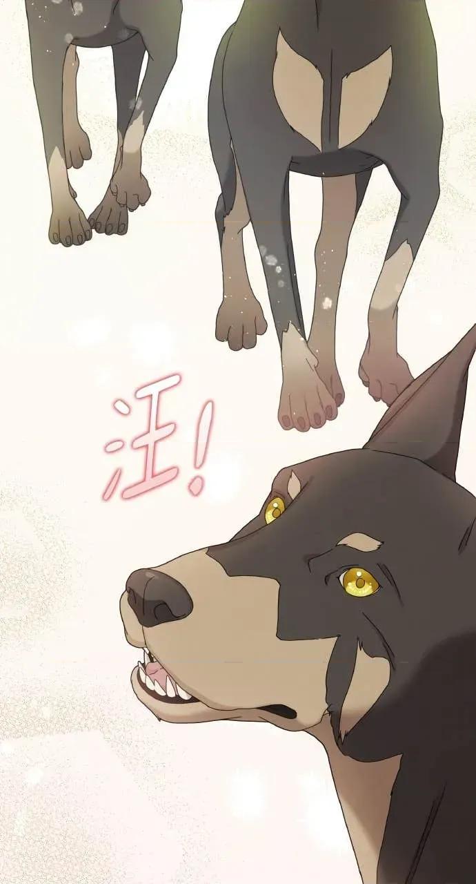 欲望猎场 欲望猎场 Doberman-第39话 第44页
