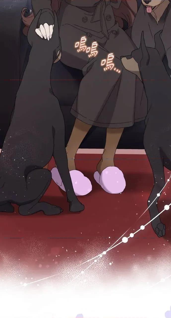 欲望猎场 欲望猎场 Doberman-第39话 第53页