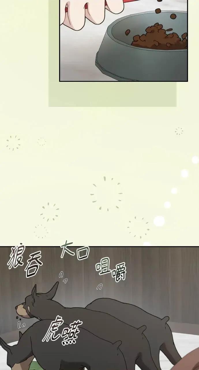 欲望猎场 欲望猎场 Doberman-第39话 第84页