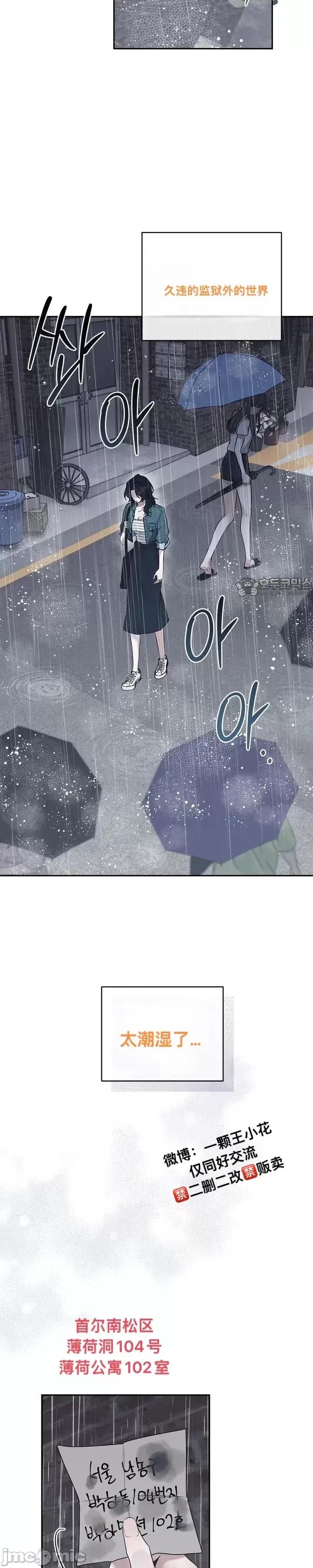 薄荷 薄荷 第11页