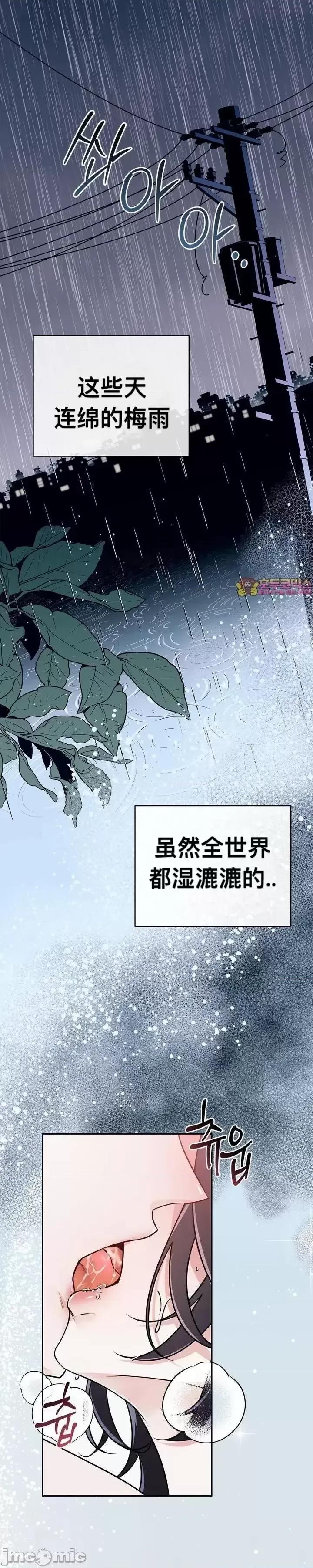 薄荷 薄荷 第1页