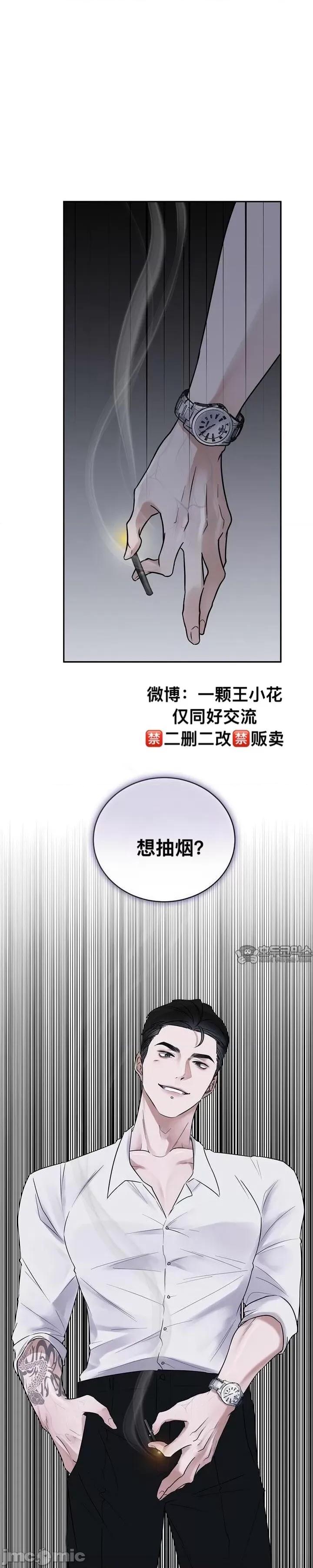 薄荷 薄荷 第33页