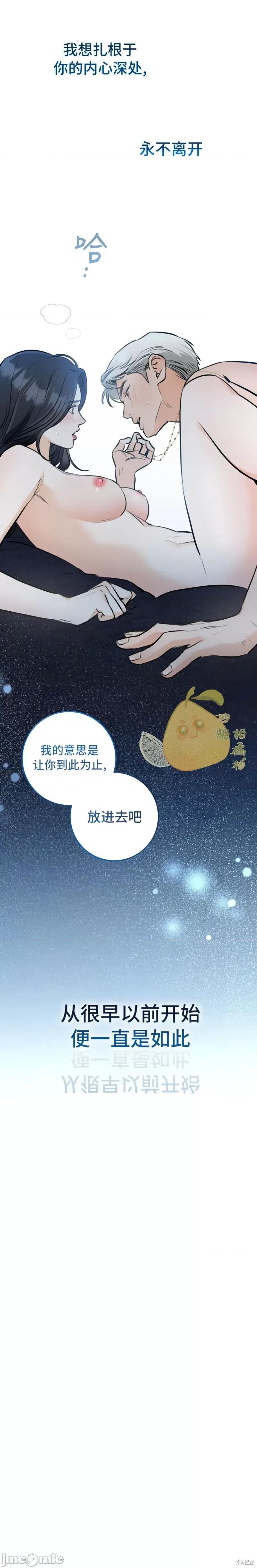 阿基裡斯之踵 阿基裡斯之踵（致命弱点） 第17页