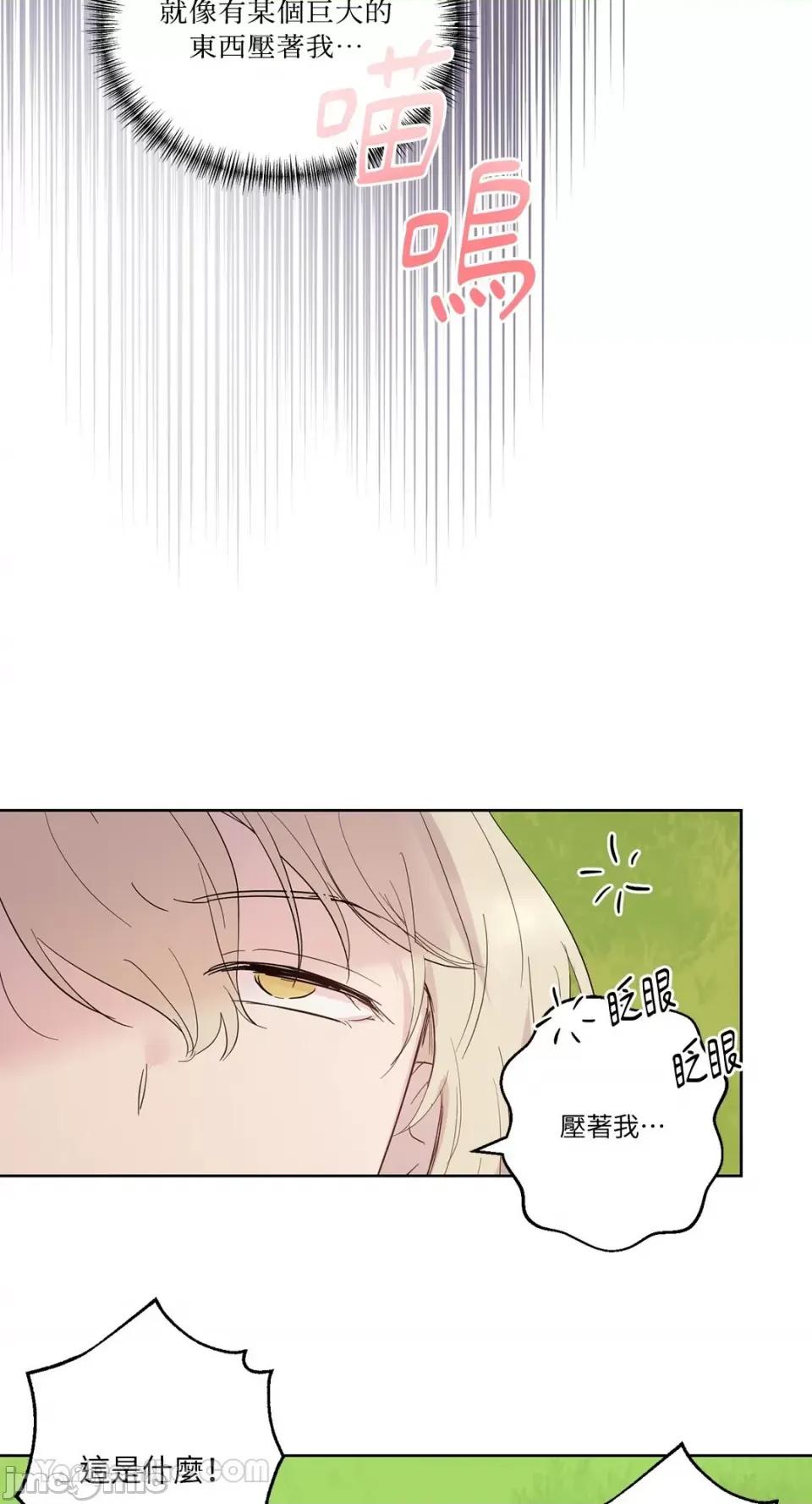 艾莉莎小姐的私密日记 艾莉莎小姐的私密日记-15 第38页