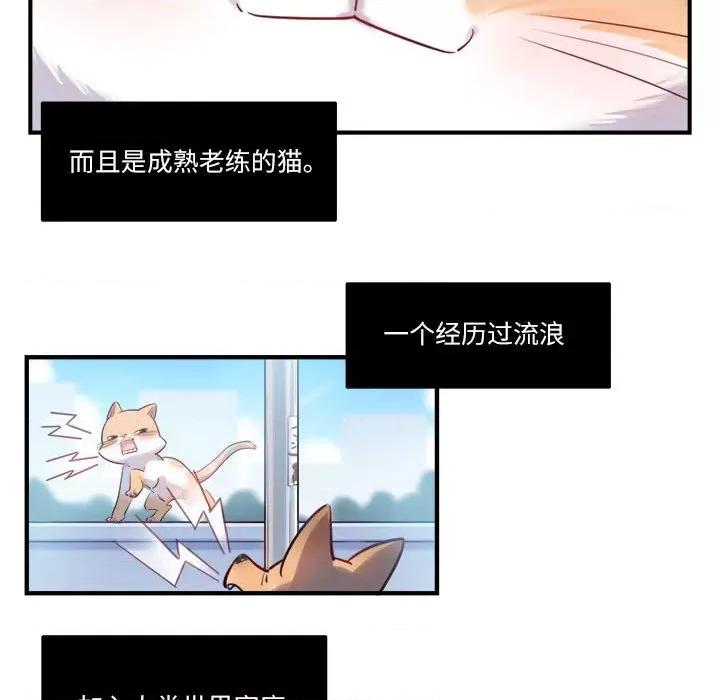最美好的她 最美好的她第 66 话 第11页
