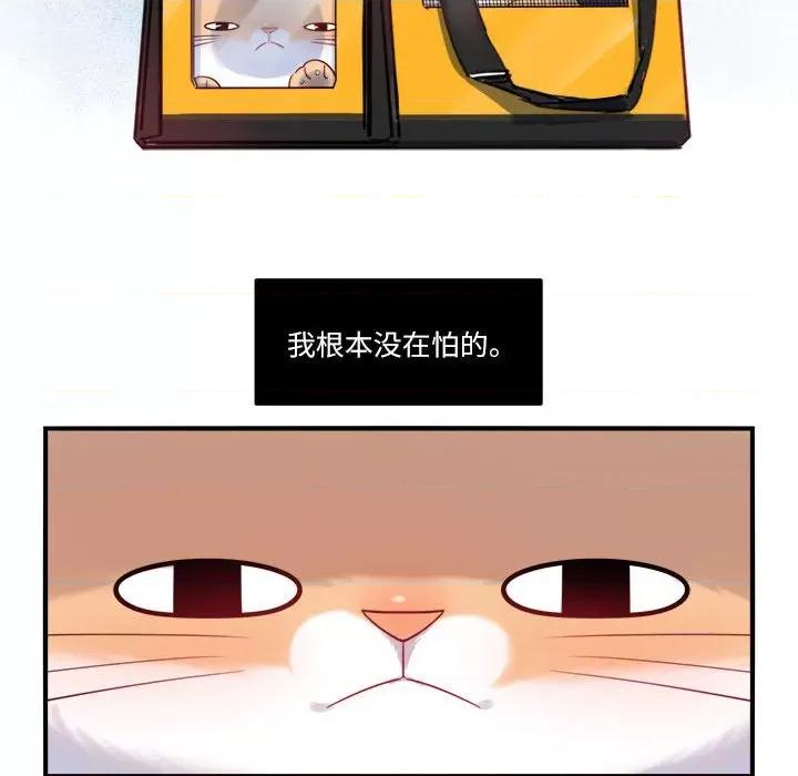 最美好的她 最美好的她第 66 话 第16页