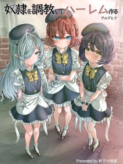 奴隷をしてハーレム作る