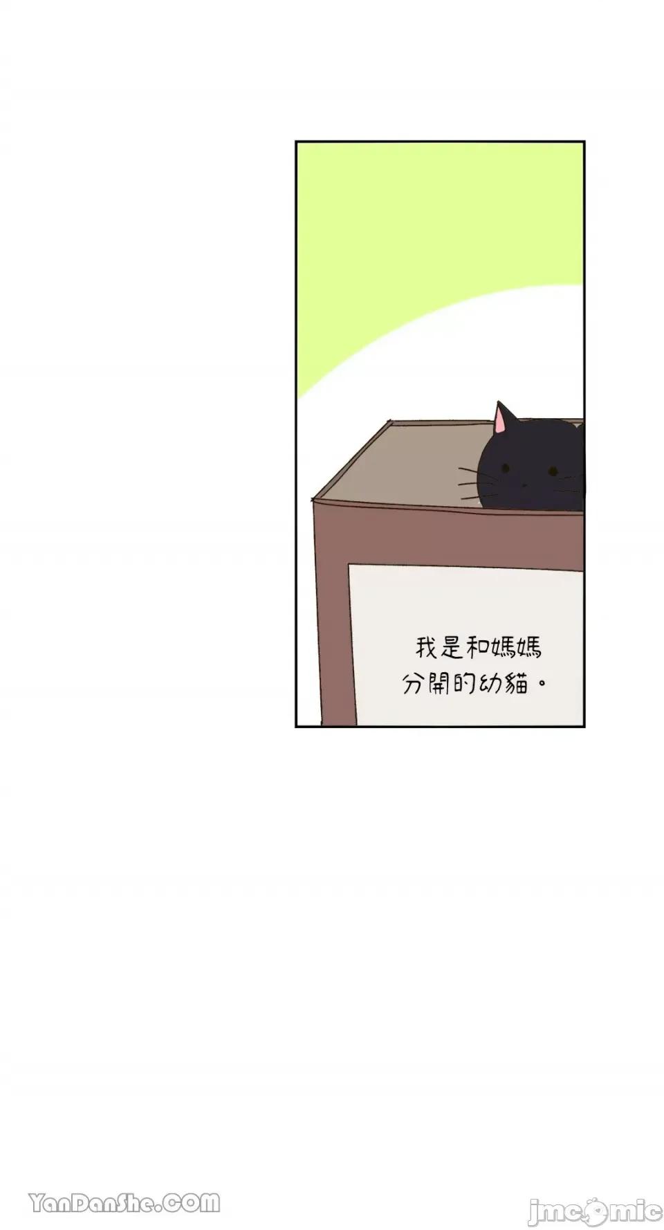你曾是某人的初恋 你曾是某人的初恋-4 第36页