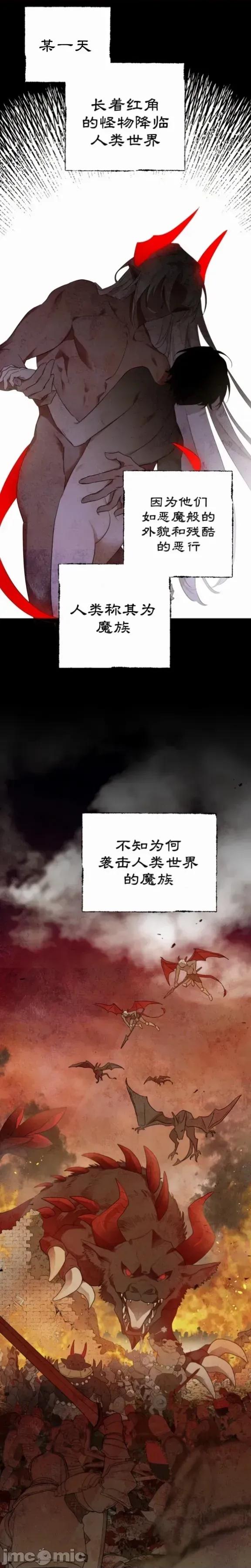 魔族结合的勇者大人 与魔族结合的勇者大人 第2页