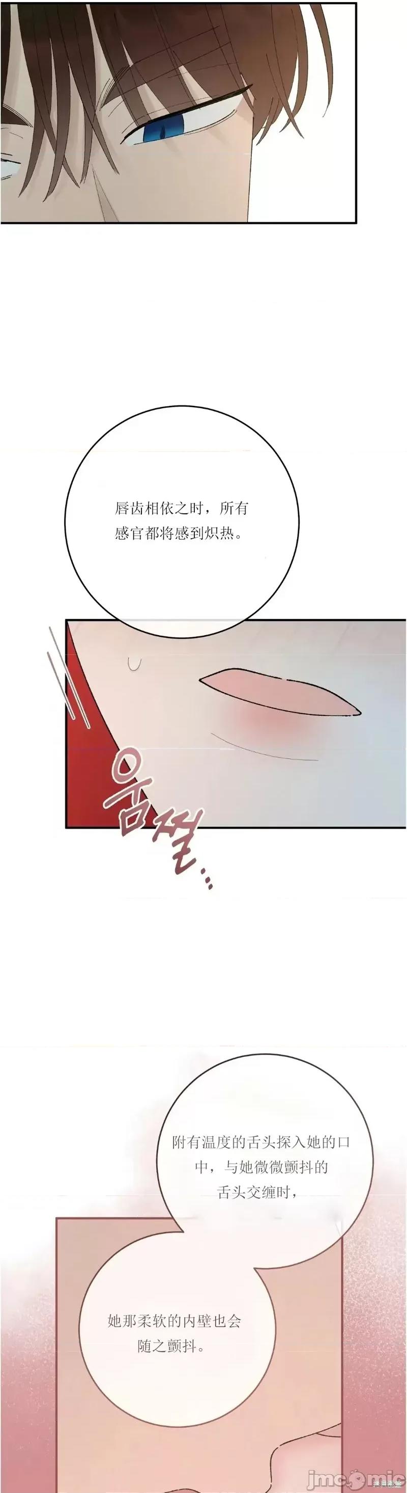 淑女的爱好 淑女的色情爱好 第30页