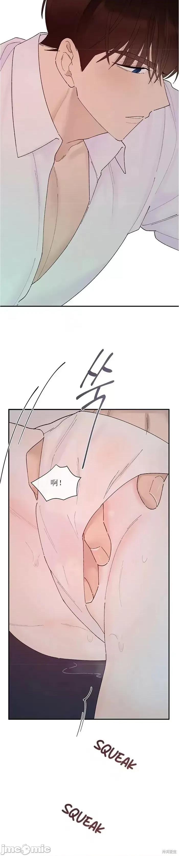 淑女的爱好 淑女的色情爱好 第17页