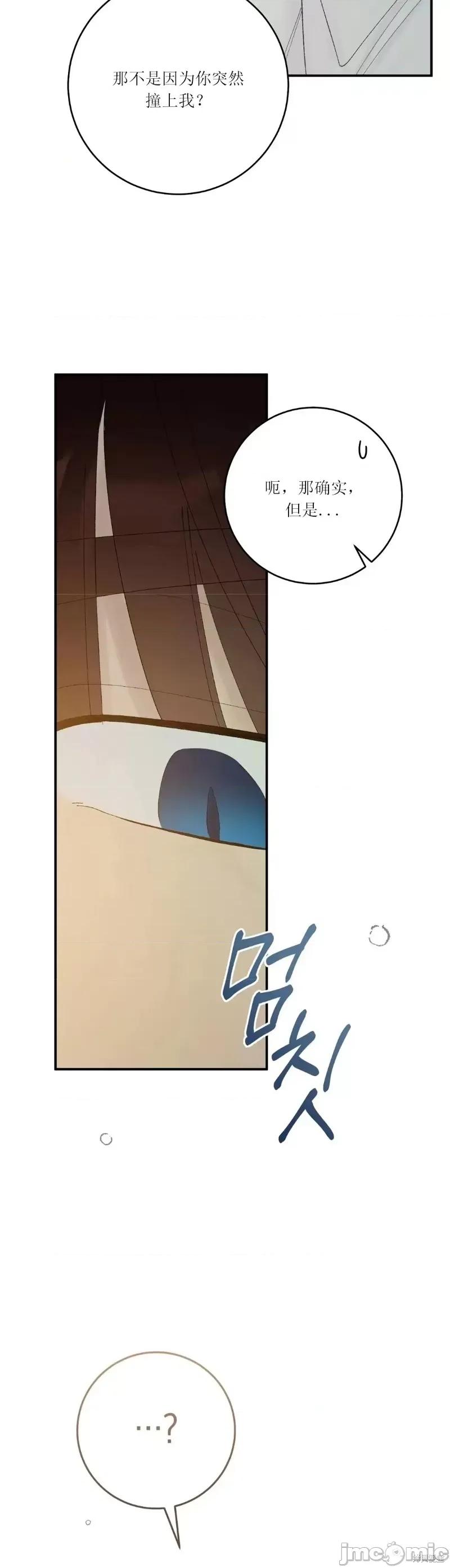 淑女的爱好 淑女的色情爱好 第15页