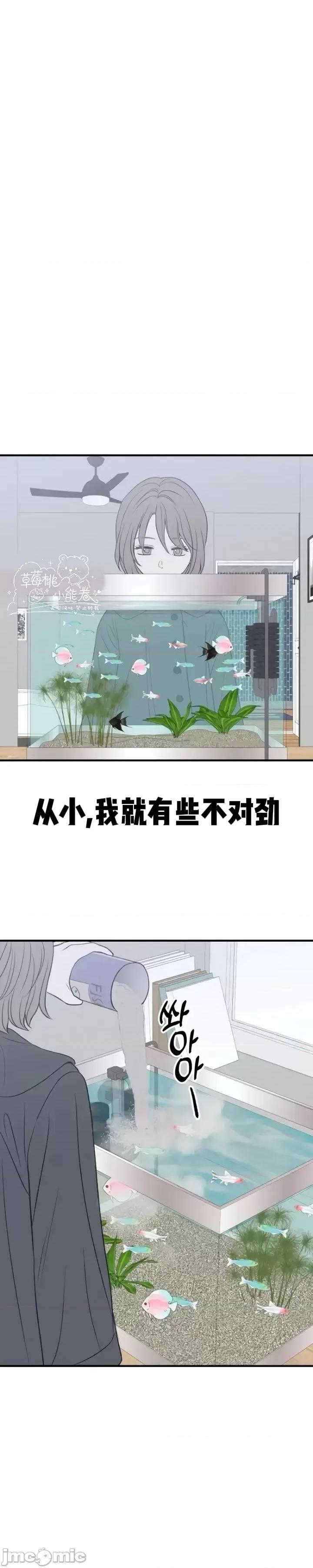 从高楼上坠落的那只蚂蚁 从高楼上坠落的那只蚂蚁2 第5页