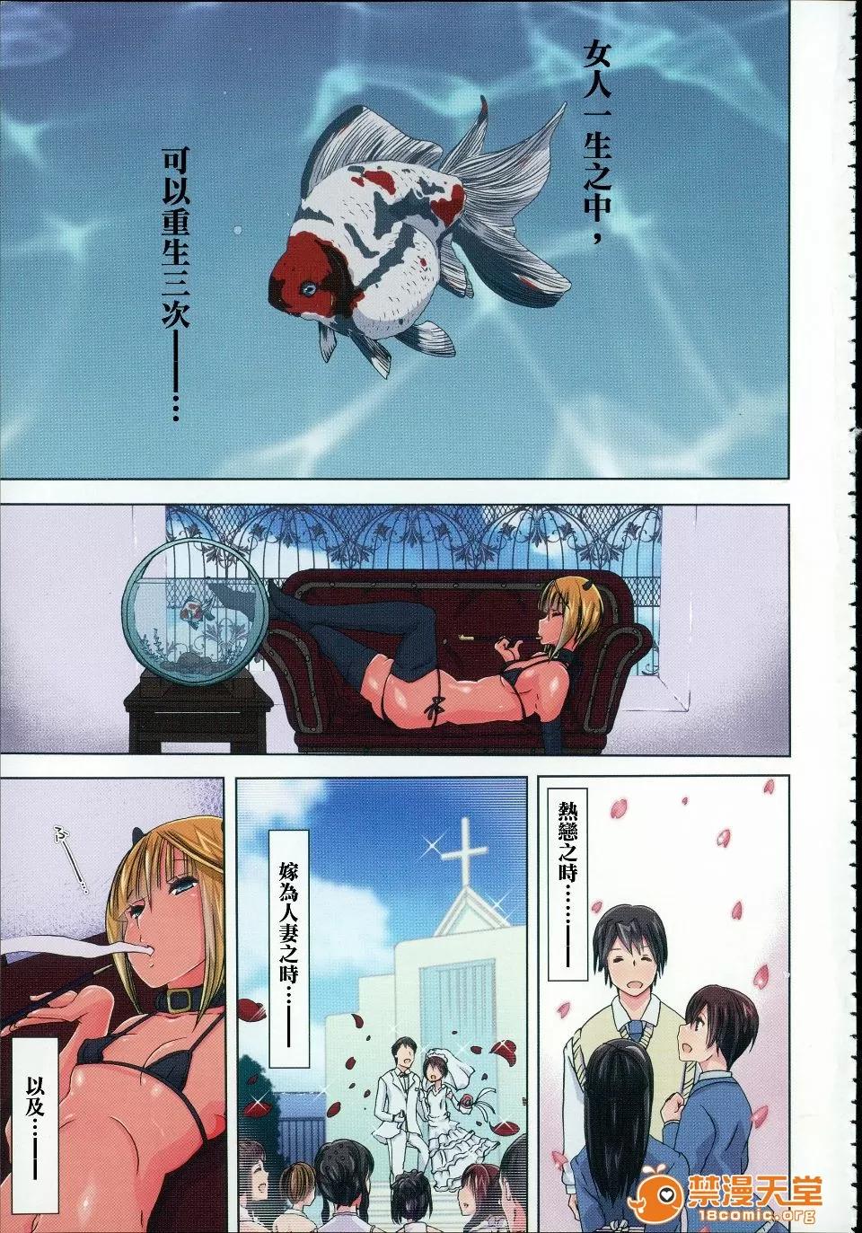 兽姦 [チキコ] 兽姦肉便器 かすみ 第4页