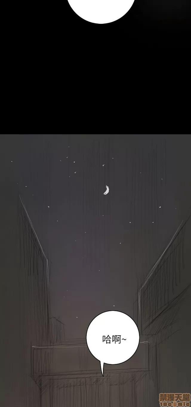 我的姐妹 姊姊: 莲 3 第193页