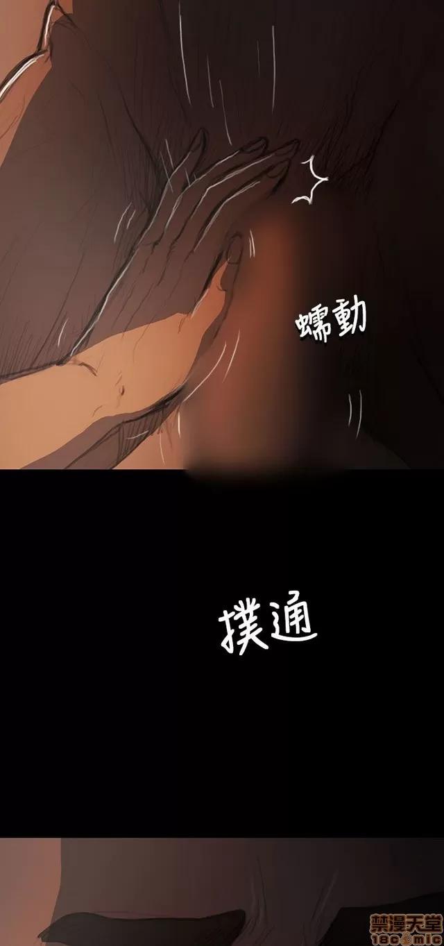 我的姐妹 姊姊: 莲 3 第335页