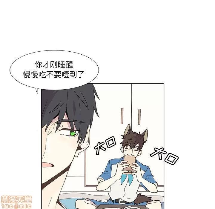野性之城 野性之城 2 第17页