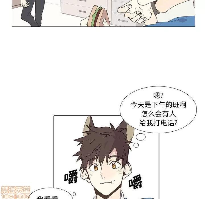 野性之城 野性之城 2 第20页
