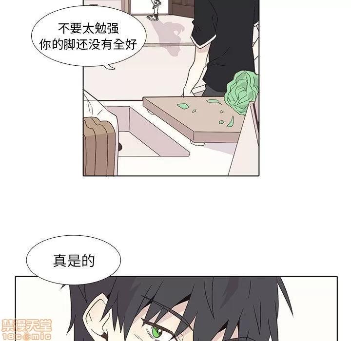 野性之城 野性之城 2 第27页