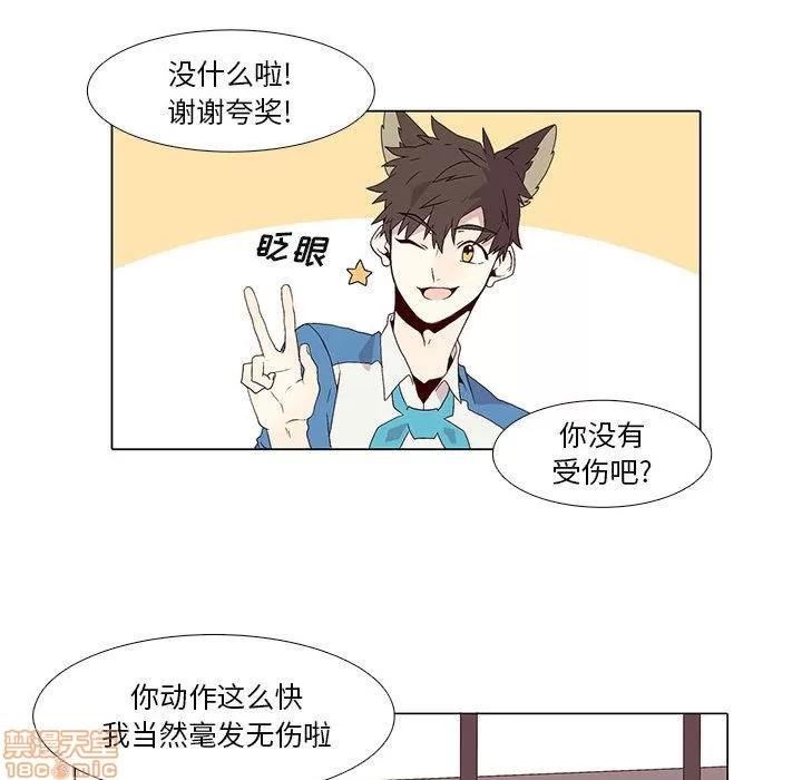 野性之城 野性之城 4 第44页