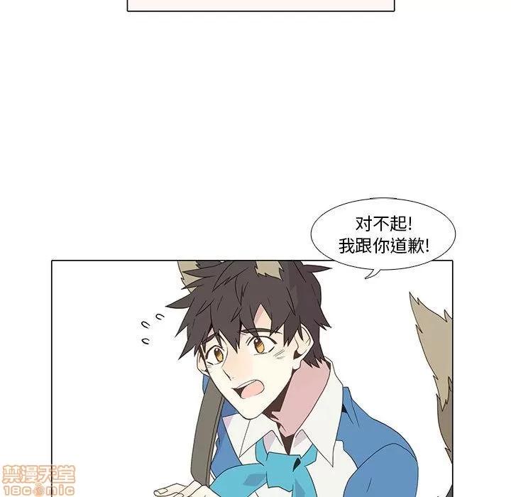 野性之城 野性之城 6 第19页