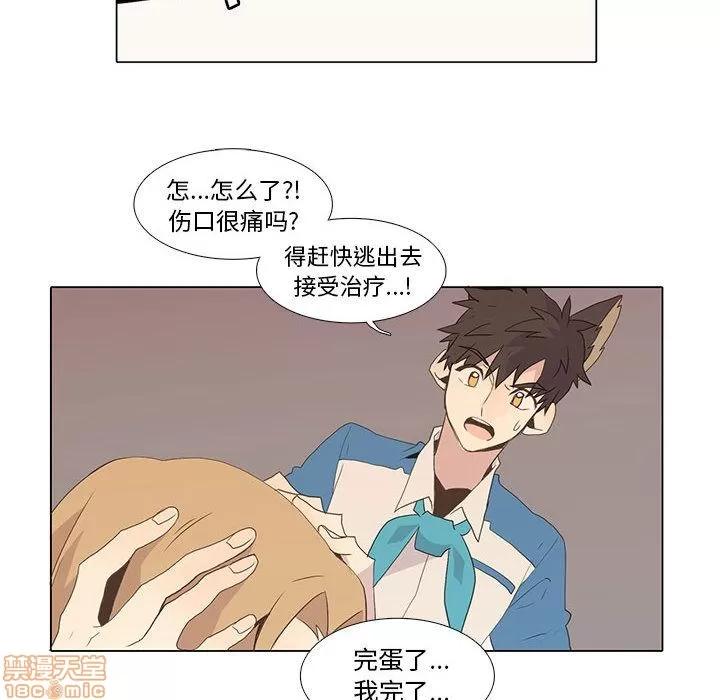 野性之城 野性之城 6 第59页