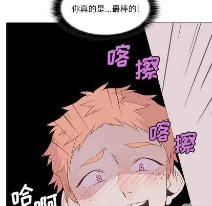 野性之城 野性之城 | 第11章 第13页