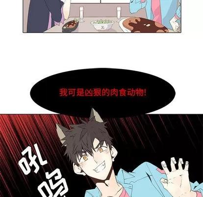 野性之城 野性之城 | 第12章 第11页