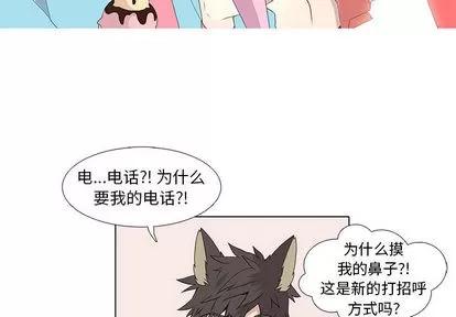 野性之城 野性之城 | 第13章 第3页