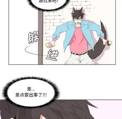 野性之城 野性之城 | 第13章 第9页