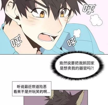 野性之城 野性之城 | 第13章 第10页