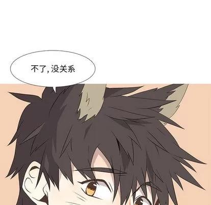 野性之城 野性之城 | 第13章 第28页