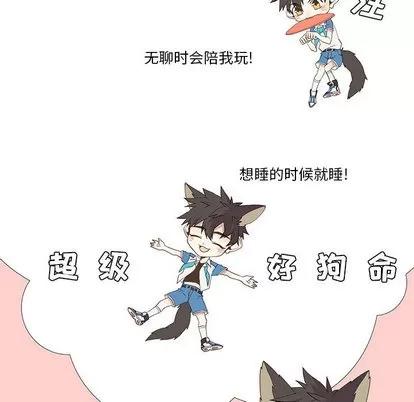 野性之城 野性之城 | 第14章 第27页