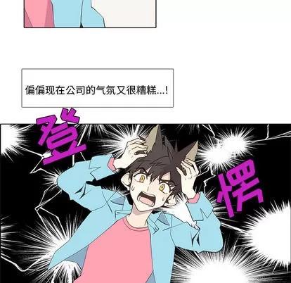 野性之城 野性之城 | 第14章 第42页