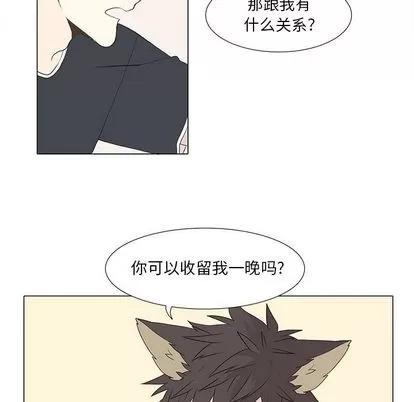 野性之城 野性之城 | 第15章 第9页